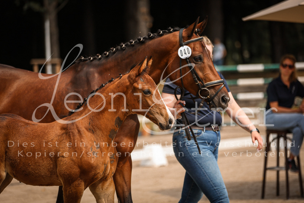 07.DoWBS00101 | Leoni Ertmer Photography - Realisiert mit Pictrs.com