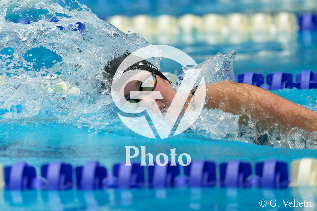 DSC_9684 | Velletri Photo