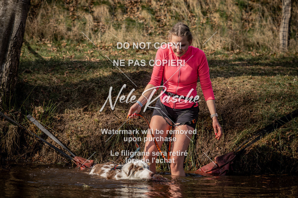 nelerasche_FS1330-1400_205 | nelerasche