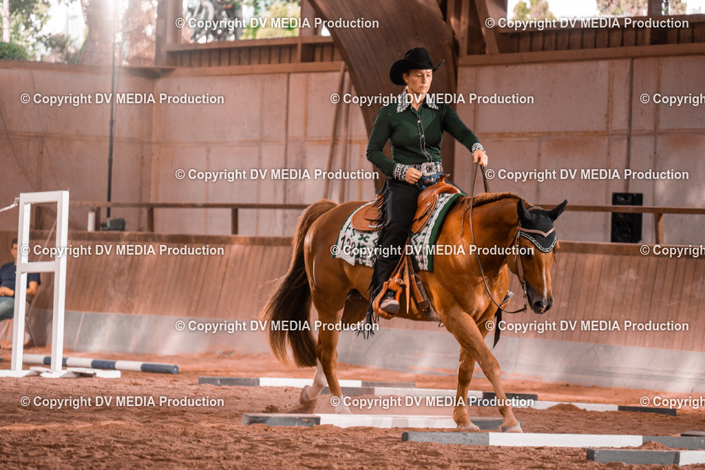 NE300170 | dv-media-shop - Realisiert mit Pictrs.com