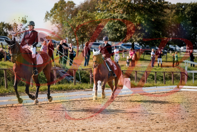 2026_10_03_Siefer-Hof_130345_Z63_66188818 | Professionelle Reitsport-, Turnier- und Eventfotografie von Robert Broda. Galerien mit ausgewählten und bearbeiteten Bildern direkt online ansehen und bestellen.