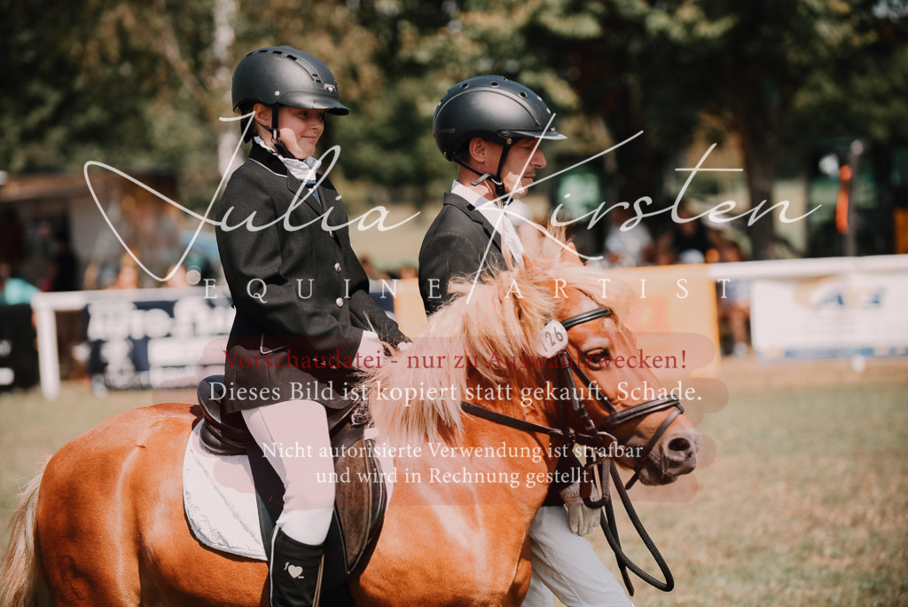 DSC_5987 | Pferde- und Turnierfotografie in Westsachsen. Pferdeportraits, Auftragszeichnungen und intuitive Kunst.