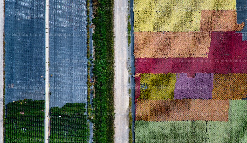 3806303 | Gärtnerei Knaup, Röthlein