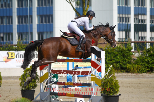 Gut Blee25_Zwei Phasen Springprfg S_0049 | Turniersportfotografie; Pferdefotografie; Dressurfotografie