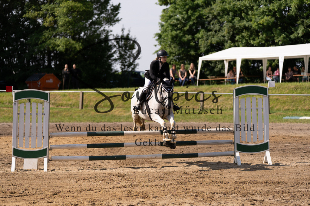 A7507299 | Turnier/Reitfotograf