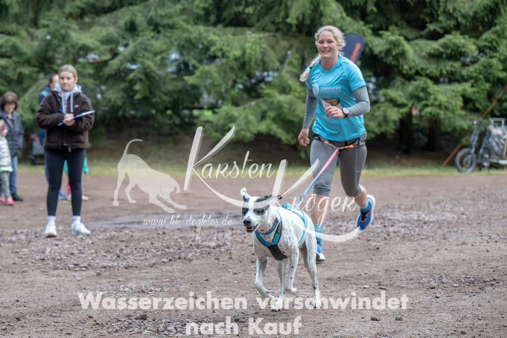 0811_ZZ99506 | kk-dogfotos