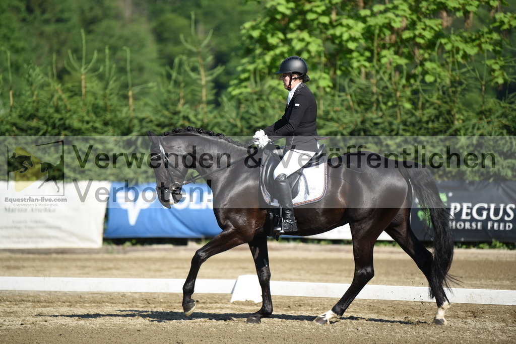 DSC_7090 | equestrian-live-com