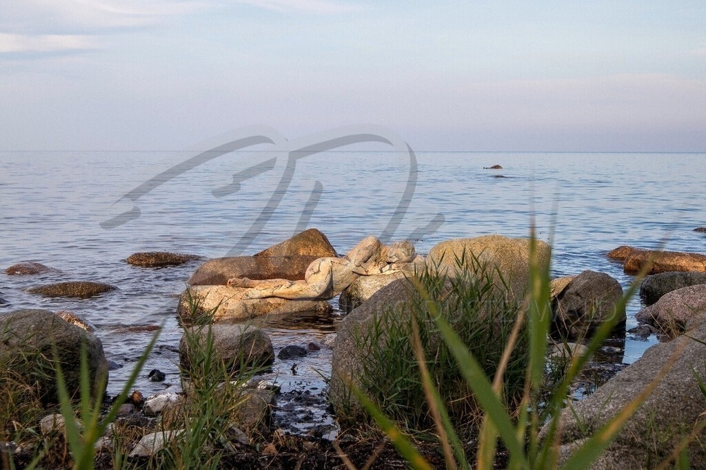 NatureArt-KÜSTE_1191 | Goldene Steine an der Ostsee | #002 | Modell: Darky | Foto: Mike Koppold - Realisiert mit Pictrs.com