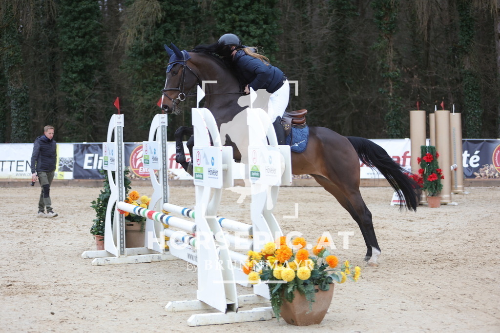 0P6A4370 | Willkommen bei Brunnmayr - Design & Fotografie – Ihrem Spezialisten für Reitturniere und Pferdeveranstaltungen in Oberösterreich, Salzburg und Bayern! Seit über 17 Jahren sind wir leidenschaftlich dabei.