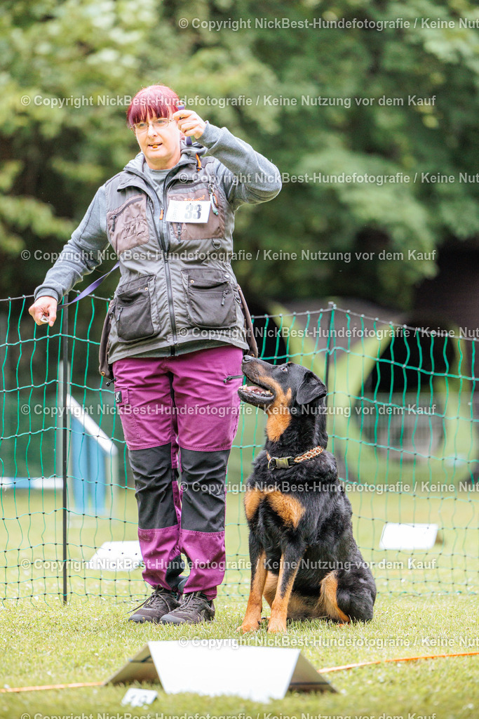 RO-Blumenthal-2026-Nickbest-Hundefotografie-2638 | Dein Hund! Dein Moment! Deine Erinnerungen! Hundefotografie in Bremen Blumenthal. Ich fange die besonderen Momente deines Vierbeiners ein – ob Indoor mit Blitzanlage oder in der freien Natur. Sicher dir dein Moment und dein Termin für eure Erinnerungen.