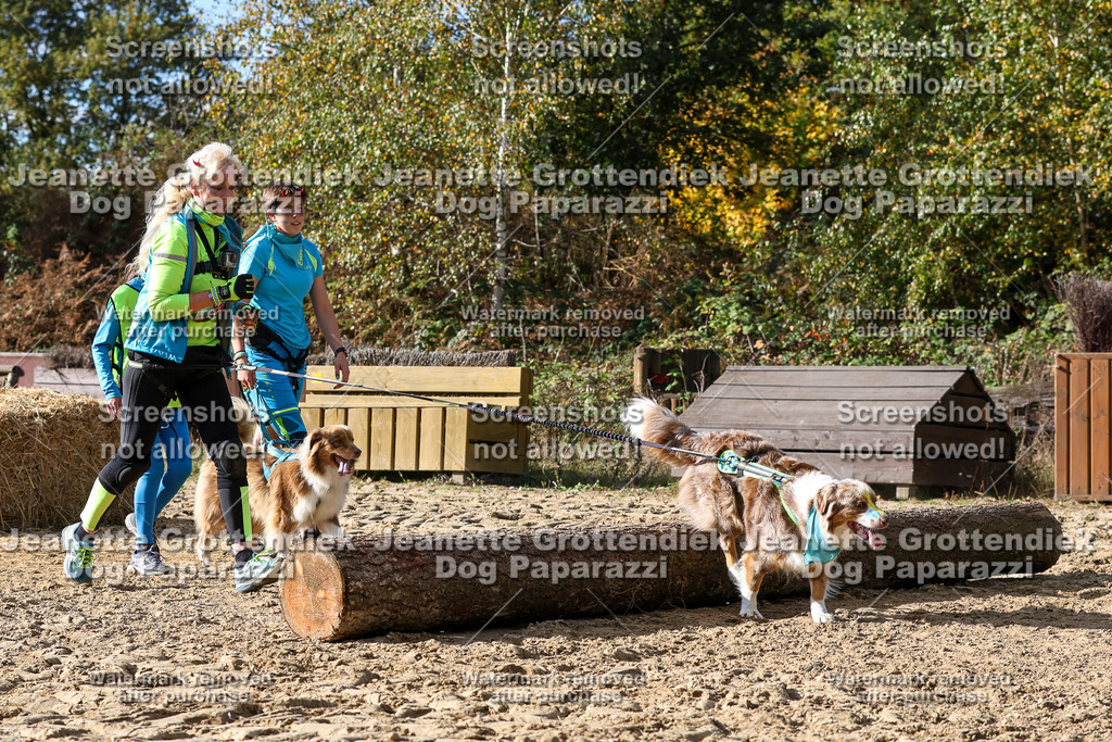 Dog Paparazzi - Strongdog 10-25-5604 | Dog Paparazzi Jeanette Grottendiek Fotografie & Videografie - Realisiert mit Pictrs.com