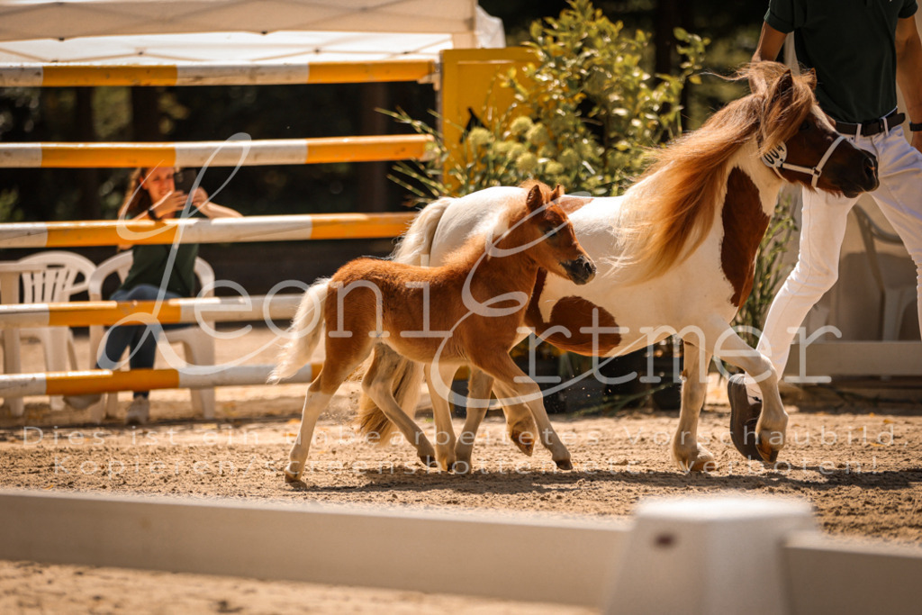 01.DoKR00103 | Leoni Ertmer Photography - Realisiert mit Pictrs.com