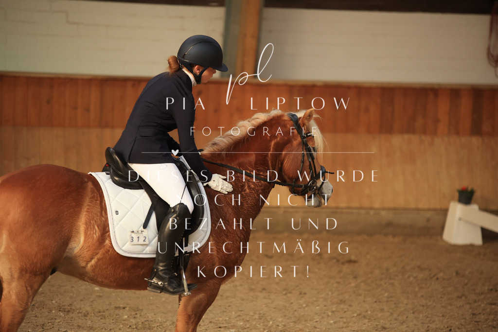 IMGT2181 | pl-fotografie