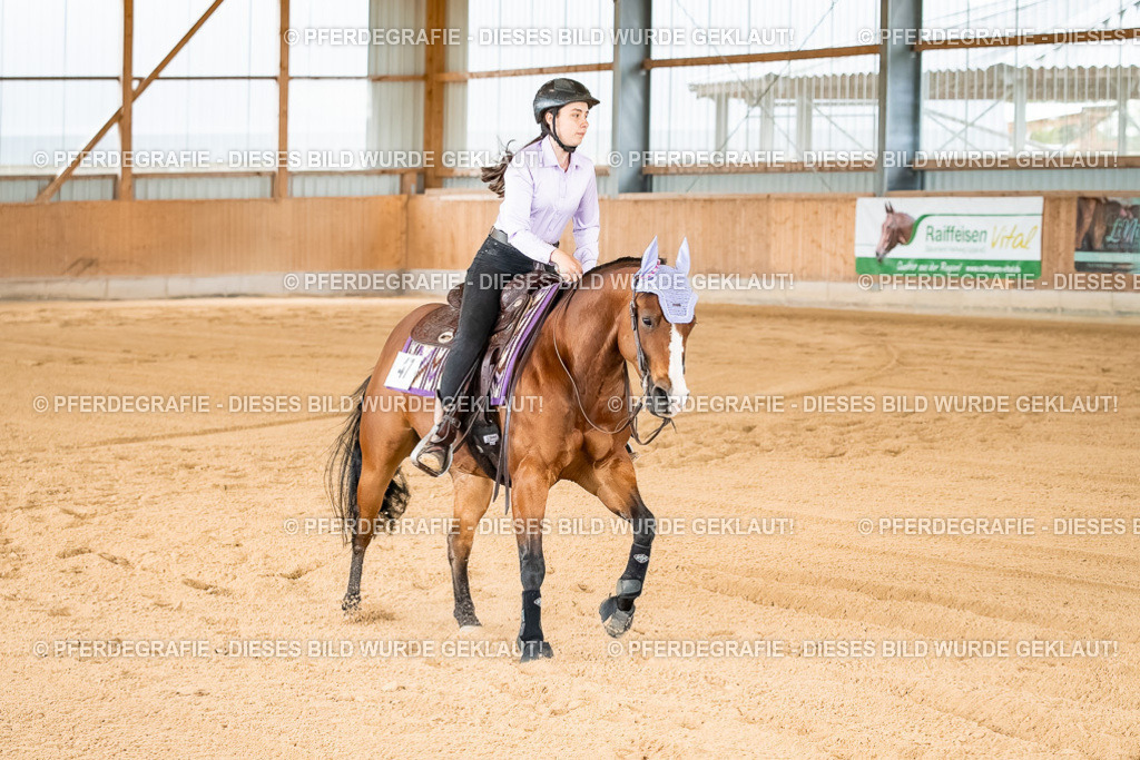 DSC02059 | Pferdegrafie