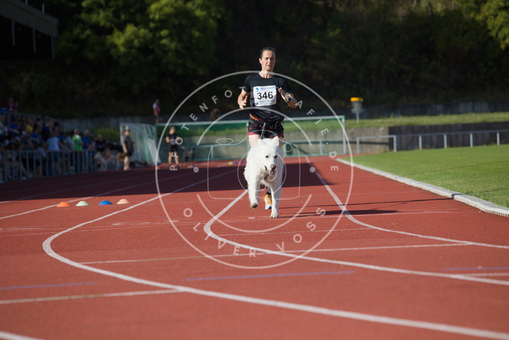 0L8A9395 | Hundefotografie, Tierfotograf, Pfotenfotografie, Fotoshooting Hund, Hunde Portrait, Hundesport, Hundeportraits, Heideshooting, Hunde, Sportfotograf, Hundefotograf, Turnierhundsport, THS,  - Realisiert mit Pictrs.com