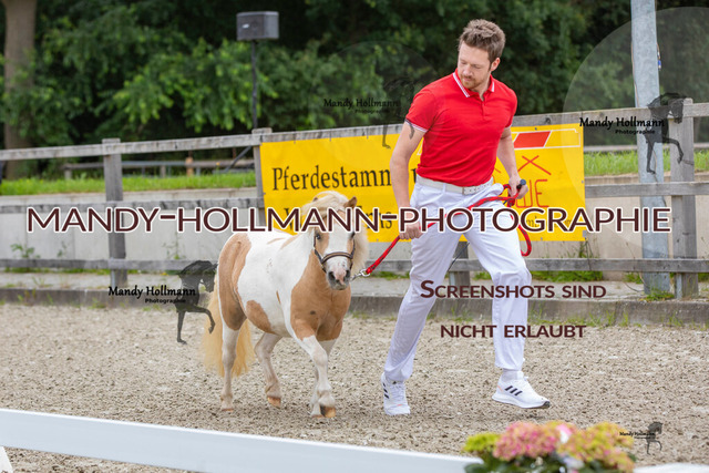 IMG_0144 | mandyhollmannphotographie