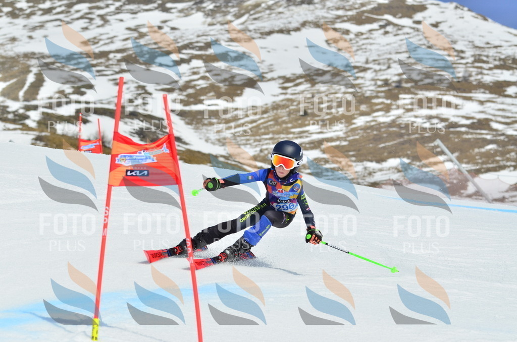 _ELE2127 | holidayphoto