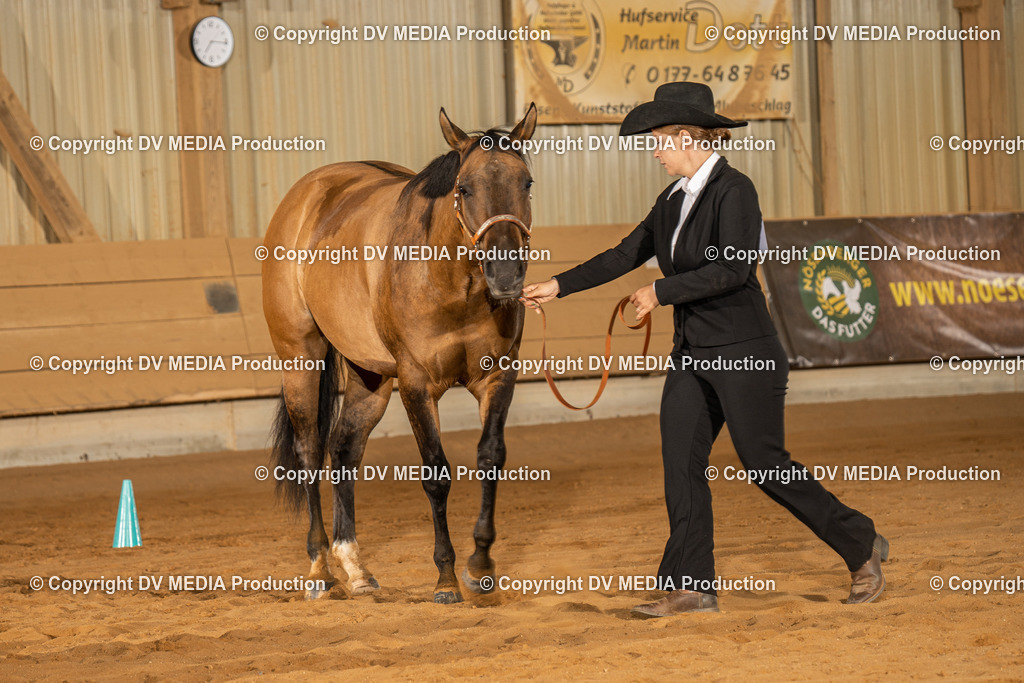 NID02371 | dv-media-shop - Realisiert mit Pictrs.com