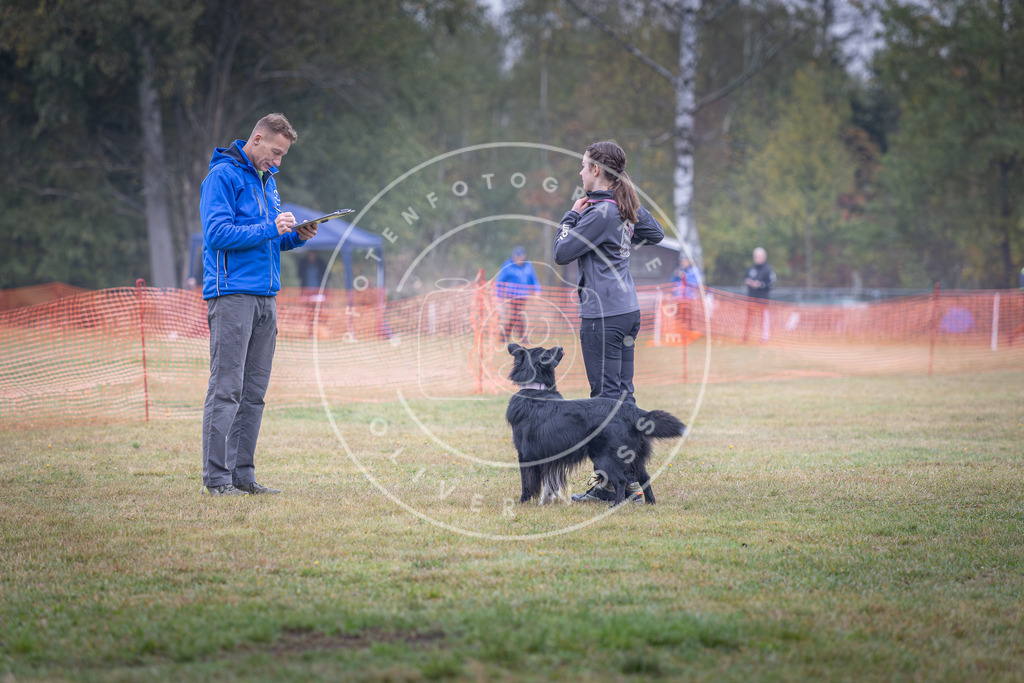 Pfotenfotografie_DV3A8759 | Hundefotografie, Tierfotograf, Pfotenfotografie, Fotoshooting Hund, Hunde Portrait, Hundesport, Hundeportraits, Heideshooting, Hunde, Sportfotograf, Hundefotograf, Turnierhundsport, THS,  - Realisiert mit Pictrs.com