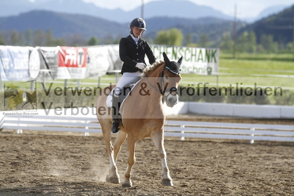 _MG_4312 | equestrian-live-com