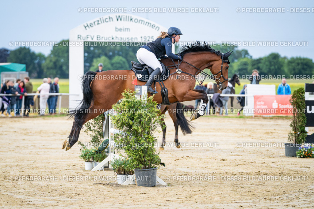 DSC03597 | Pferdegrafie