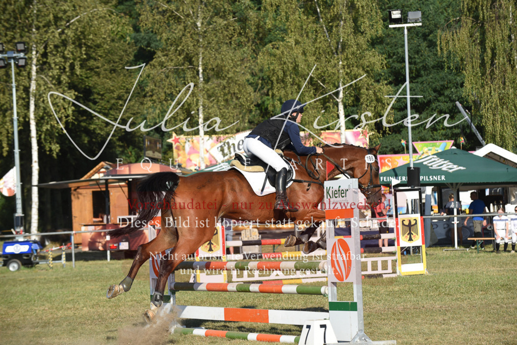 DSC_5000 | Pferde- und Turnierfotografie in Westsachsen. Pferdeportraits, Auftragszeichnungen und intuitive Kunst.