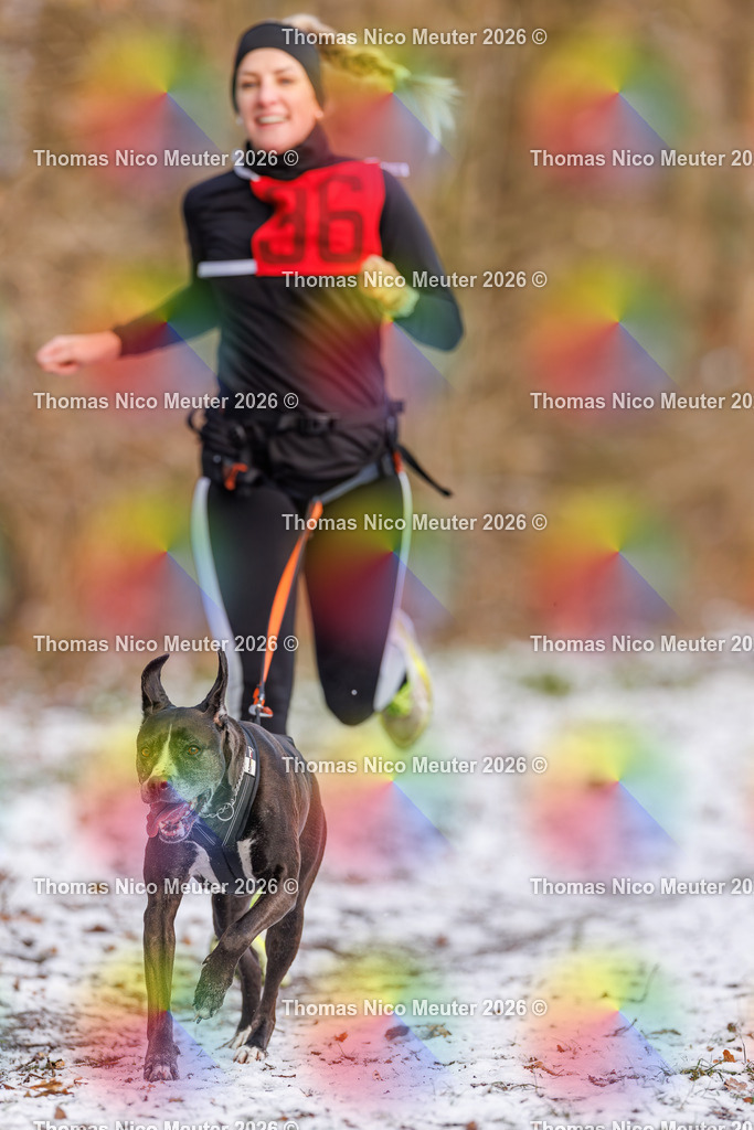 Thomas_Nico_Meuter(C)_223A8732 | Bild von Thomas Nico Meuter - Realisiert mit Pictrs.com