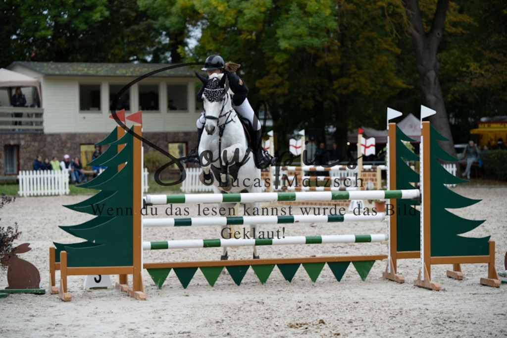 A7V00107 | Pferdefotograf