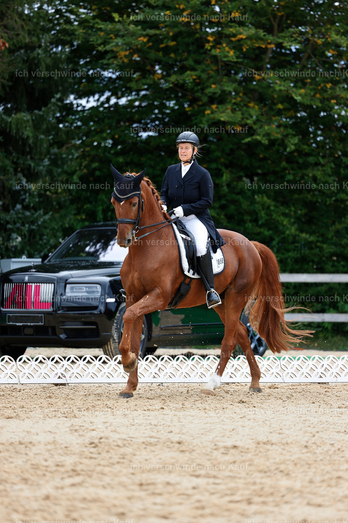 6-090-AMATUER-DRESSUR S_  -StoibPH-3600 | working equitationturnier fotograf videograf stoibphotography marixx film working equitation deutschland reitsport turnierfotografie eventfotografie equestrian events