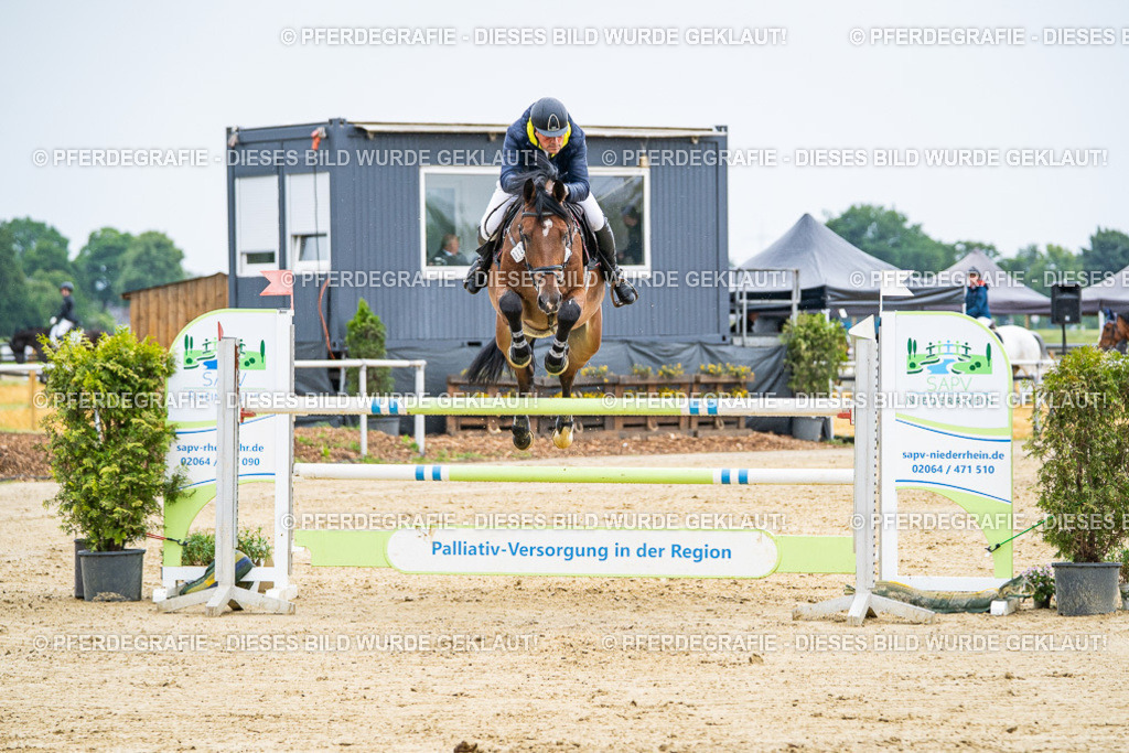 DSC08978 | Pferdegrafie