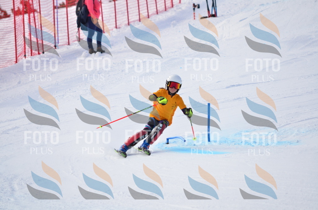 C7869 | holidayphoto