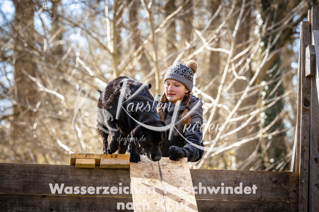 0910_ZZ93938-2 | kk-dogfotos