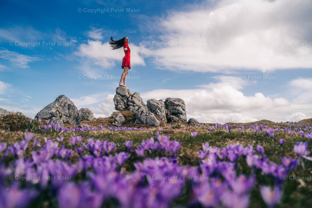 Velika Planina12 | piet_flosse
