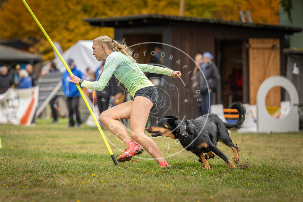 Pfotenfotografie_DV3A3301 | Hundefotografie, Tierfotograf, Pfotenfotografie, Fotoshooting Hund, Hunde Portrait, Hundesport, Hundeportraits, Heideshooting, Hunde, Sportfotograf, Hundefotograf, Turnierhundsport, THS,  - Realisiert mit Pictrs.com