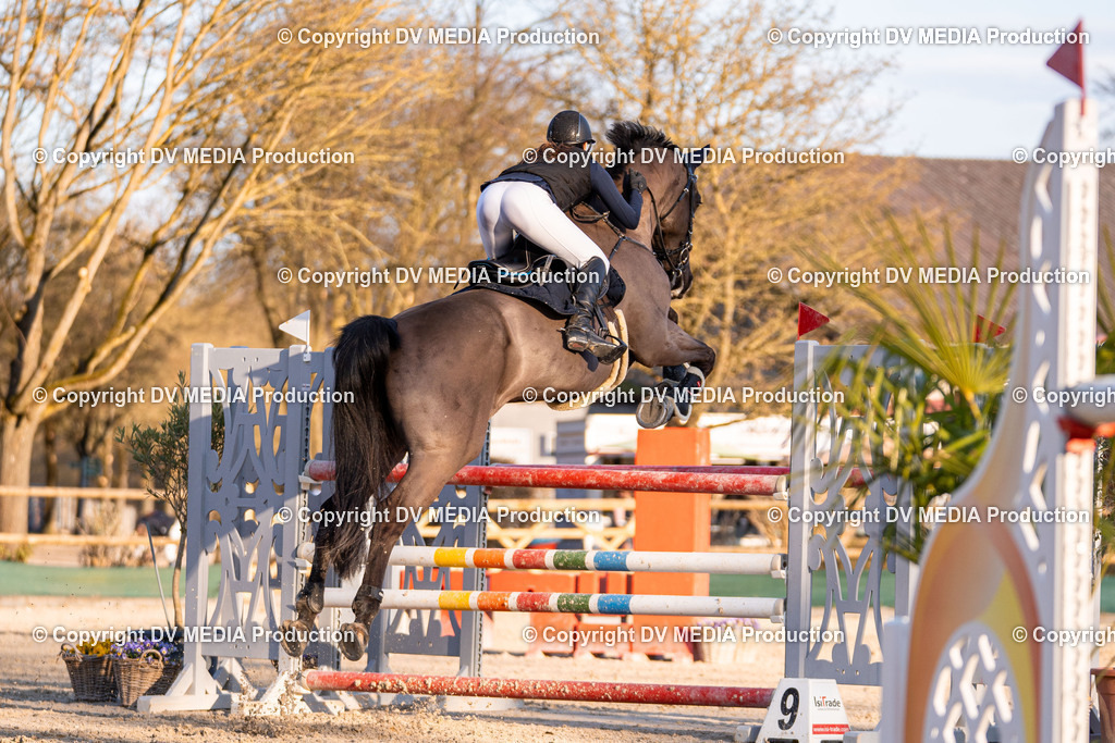 Kranichstein Tag 2-1061 | dv-media-shop - Realisiert mit Pictrs.com