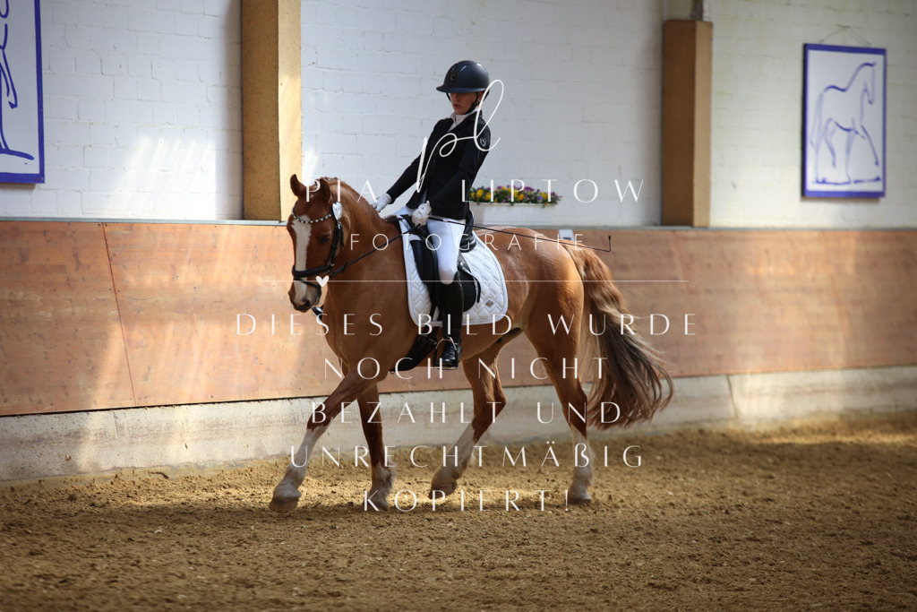 IMGT3941 | pl-fotografie