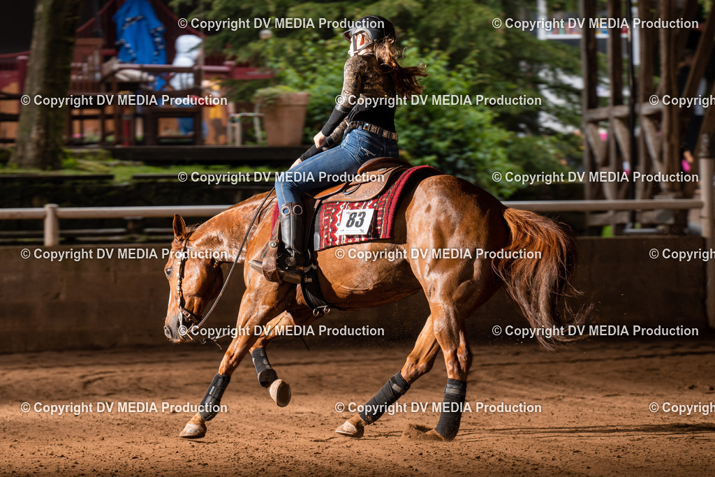 Erbach Tag 2-915 | dv-media-shop - Realisiert mit Pictrs.com