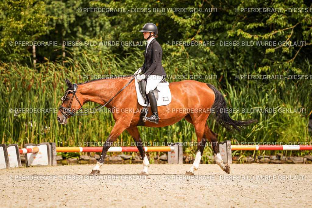 DSC01881 | Pferdegrafie