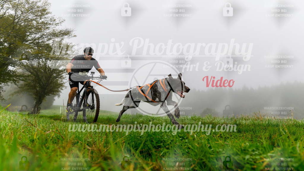 MompixPhotography_20TSB_E5_Bike-88 | PayLife