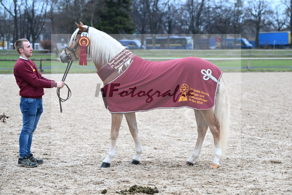 Kat-Nr. 34 nn v. Starino I_Grimminger_48251943 | hf-fotografie - Realisiert mit Pictrs.com