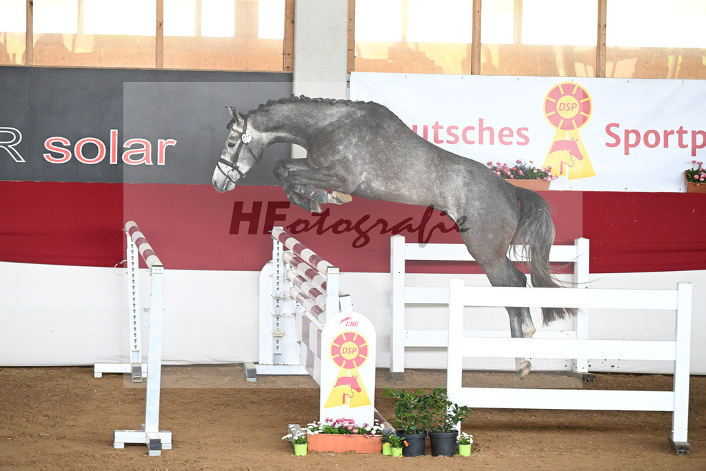 Kat-Nr. 45 Ascan v. Asca_Hess Mueller_9240879 | hf-fotografie - Realizzato con Pictrs.com