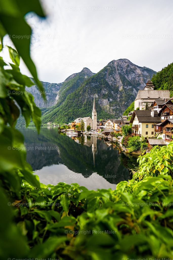 Hallstatt_2020-21 | piet_flosse