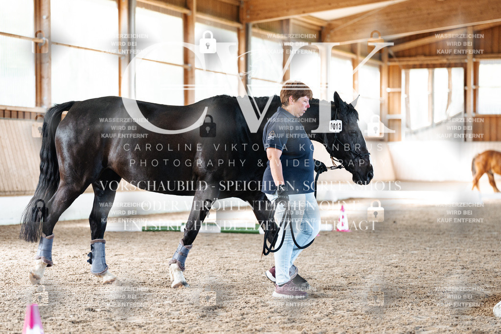 CK906265 | Turnierfotografie Pferdefotografie Trier Rheinland-Pfalz Pferdesport Reitsport Tierfotografie Sportfotografie Pferdevideo Pferdevideografie Equestrianvideography equestrianphotography  - Realisiert mit Pictrs.com