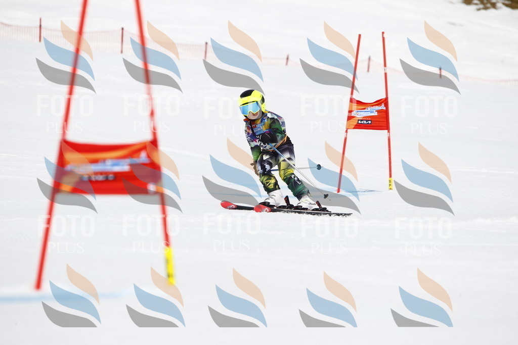 _U3G6778 | holidayphoto