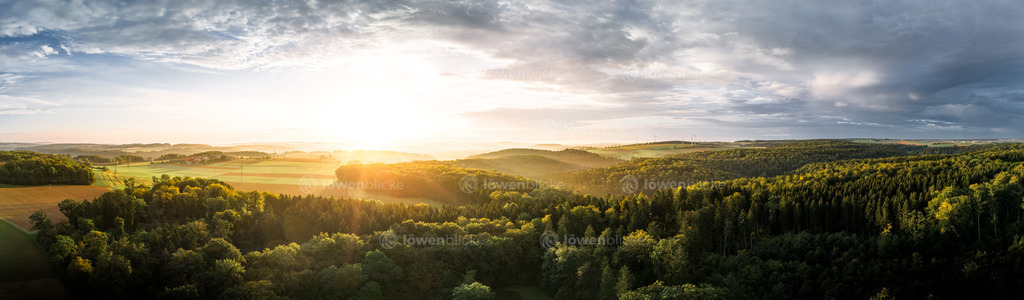 Wälder bei Türkheim im Sonnenaufgang | löwenblicke | shop