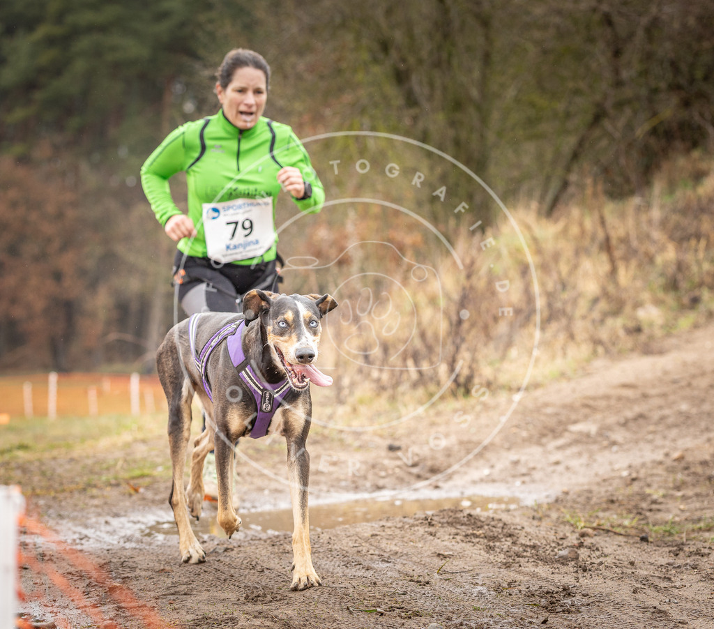 DV3A0331 | Hundefotografie, Tierfotograf, Pfotenfotografie, Fotoshooting Hund, Hunde Portrait, Hundesport, Hundeportraits, Heideshooting, Hunde, Sportfotograf, Hundefotograf, Turnierhundsport, THS,  - Realisiert mit Pictrs.com