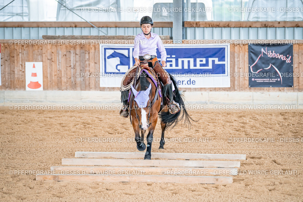 DSC09298 | Pferdegrafie