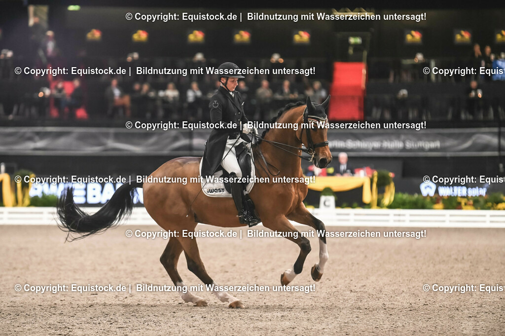 20231115_20_Dressur_Kl-S++_0468_TOMsPiC | Foto: Thomas Hartig
