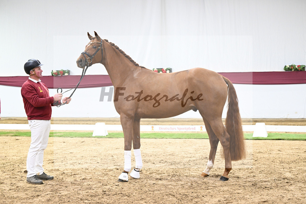 Kat-Nr. 133 Von Und Zu x Locksley III_Sabine Lehner_47254484 | hf-fotografie - Realisiert mit Pictrs.com