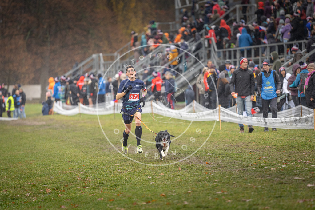 CaniXpix_DV3A0016 | Hundefotografie, Tierfotograf, Pfotenfotografie, Fotoshooting Hund, Hunde Portrait, Hundesport, Hundeportraits, Heideshooting, Hunde, Sportfotograf, Hundefotograf, Turnierhundsport, THS,  - Realisiert mit Pictrs.com